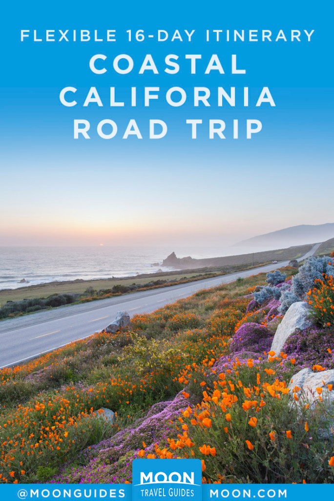 Big Sur road along coast, lined with wildflowers. Pinterest Graphic.