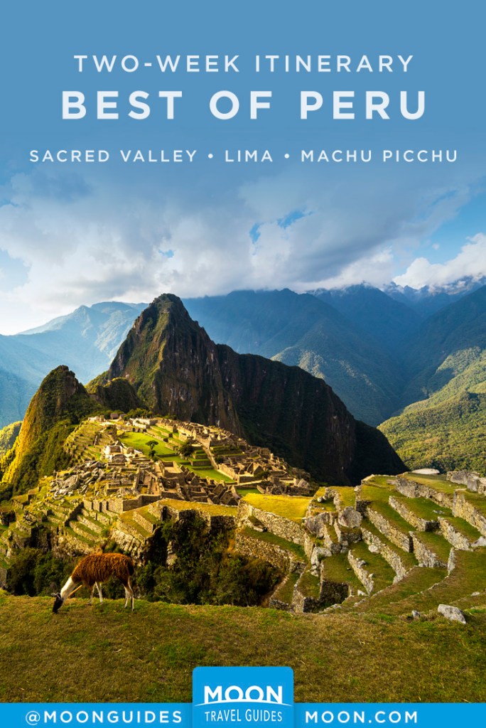 Llama grazing in front of Machu Picchu ruins. Pinterest graphic.
