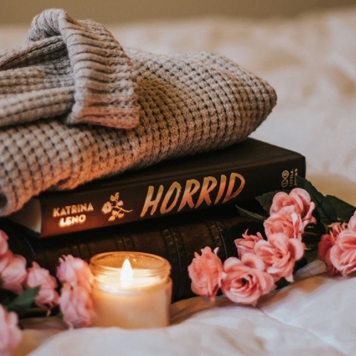 NOVL - Instagram image of book spine for 'Horrid' by Katrina Leno