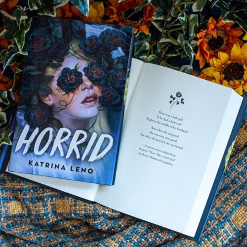 NOVL - Instagram image of book cover for 'Horrid' by Katrina Leno