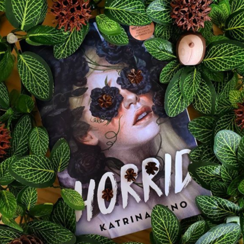 NOVL - Instagram image of book cover for 'Horrid' by Katrina Leno