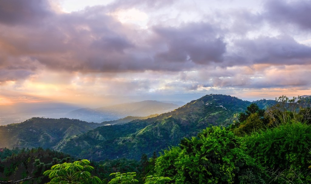 Jamaica's Blue Mountains