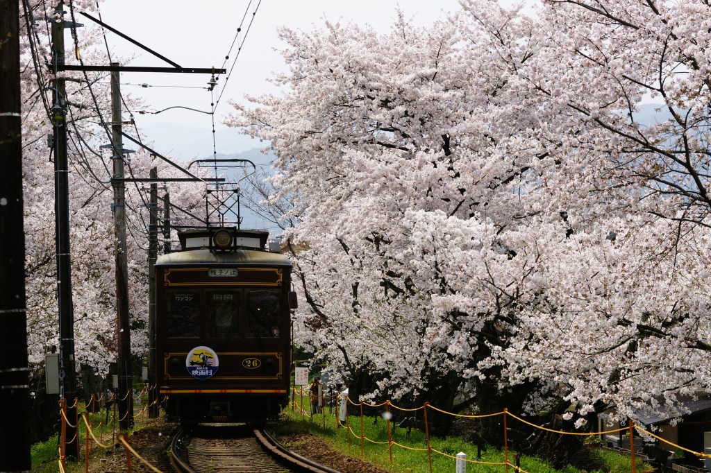 The Randen Line is the last remaining tram line in Kyoto