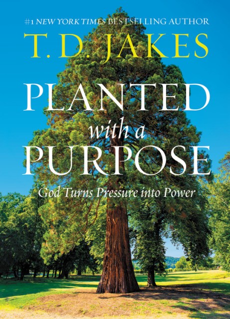 Planted with a Purpose