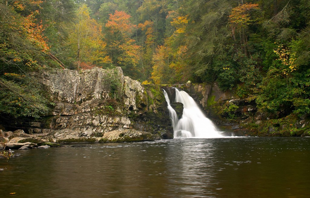 a waterfall gushing into a stream in autumn