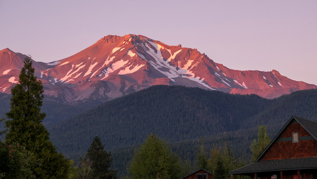 View of Mount Shasta Mountains with trees
