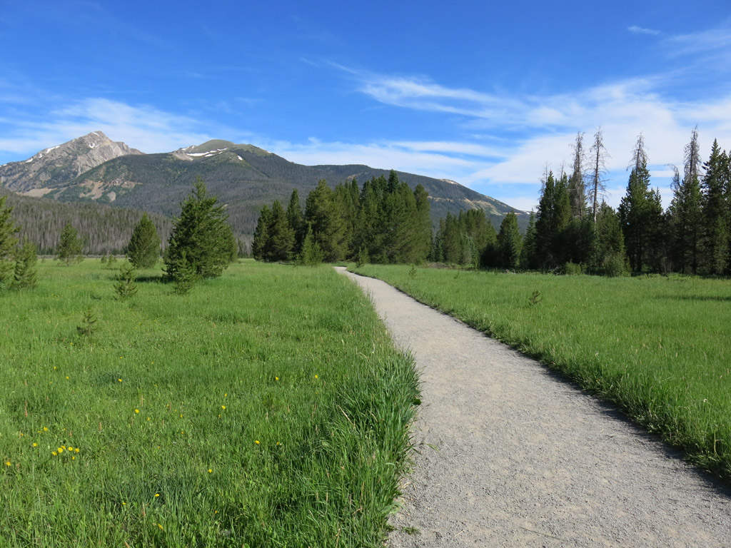 flat concrete path with grass on either side leading to trees and mountains