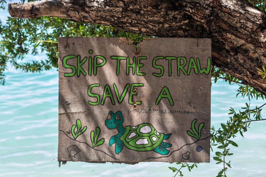 skip the straw, save a turtle sign