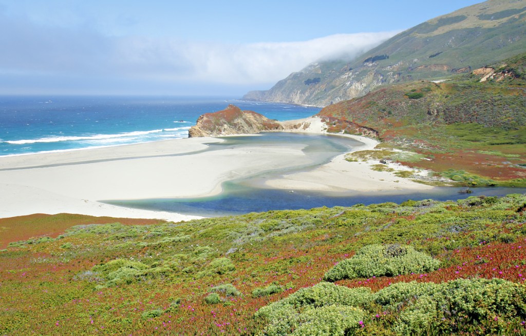 ocean, beach, and vegetation on the california coast