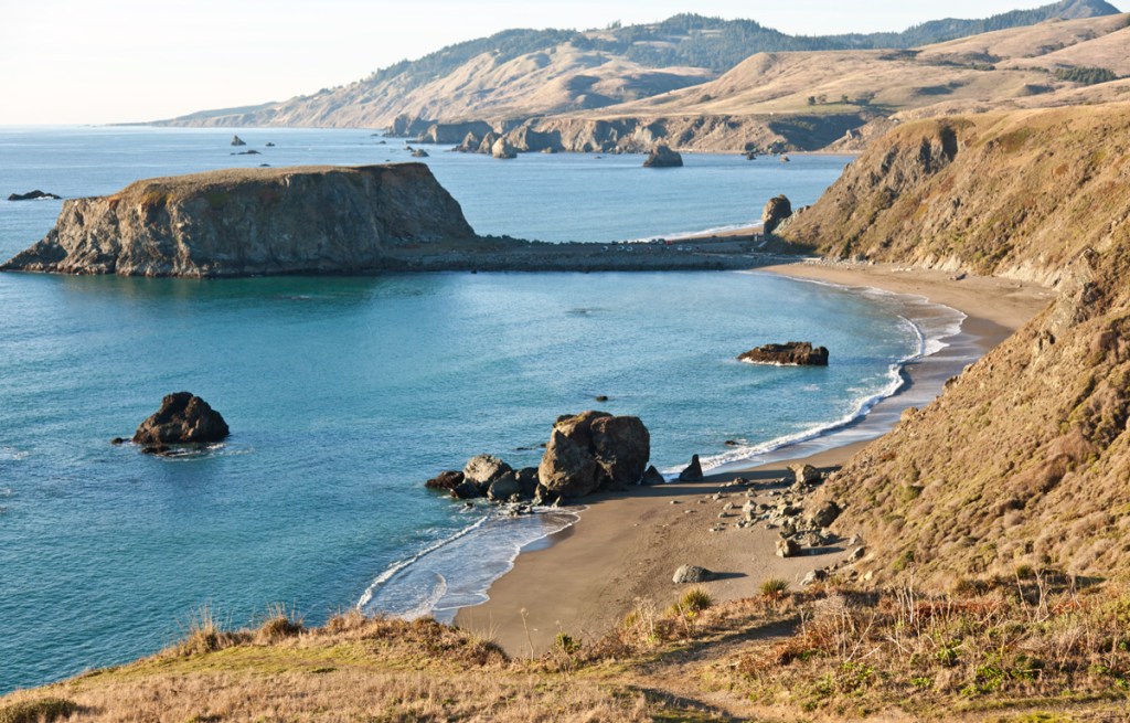 view from coastal trail overlooking a beach in sonoma county