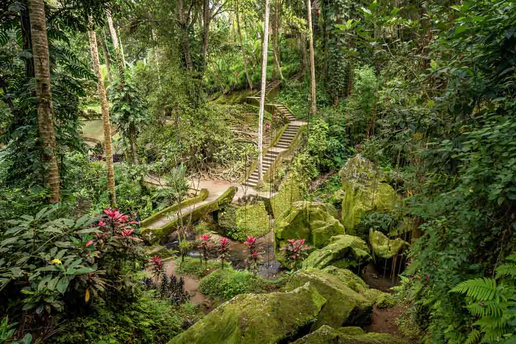 photo of monkey forest sanctuary surrounded by trees and stairs