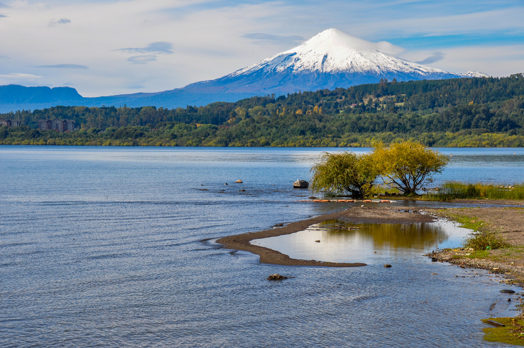 View of Volcán Villarrica with clear water and a golden tree on the side.