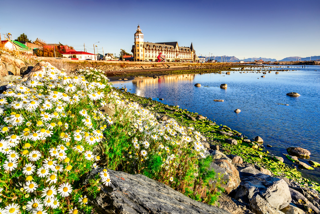 view of Puerto Natales with a building in the distant, flowers, and crystal blue waters