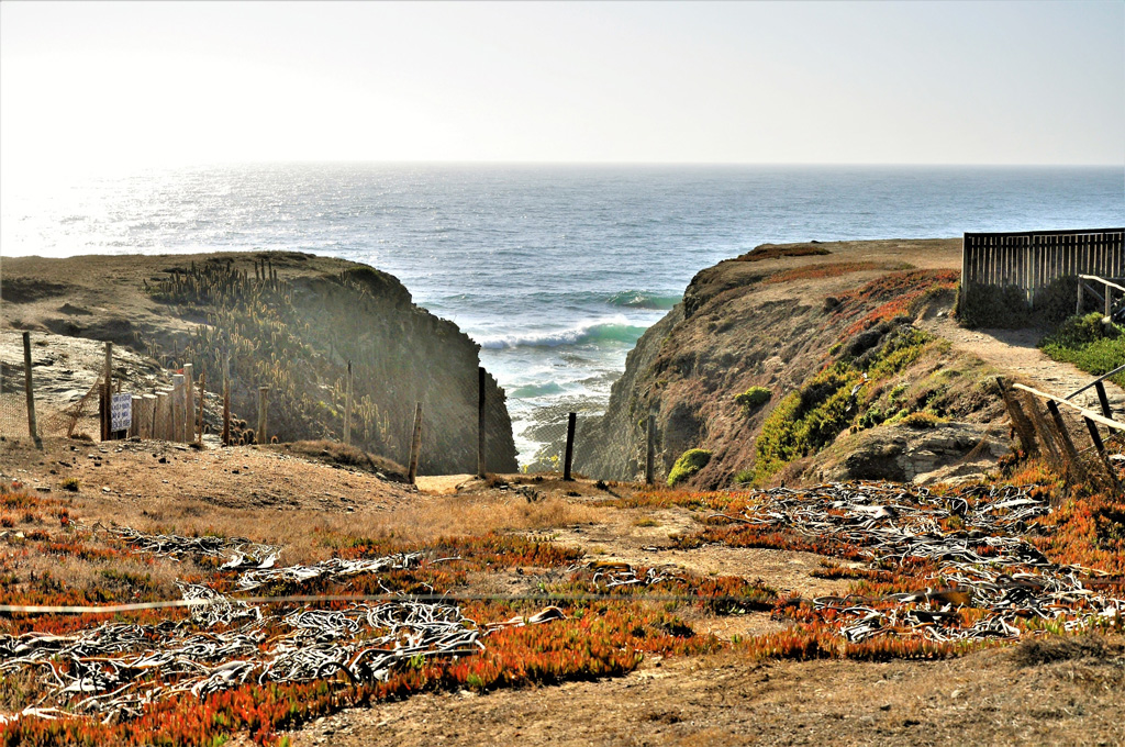 The view near the beach in Punta de Lobos in Pichilemu, Chile on a sunny day