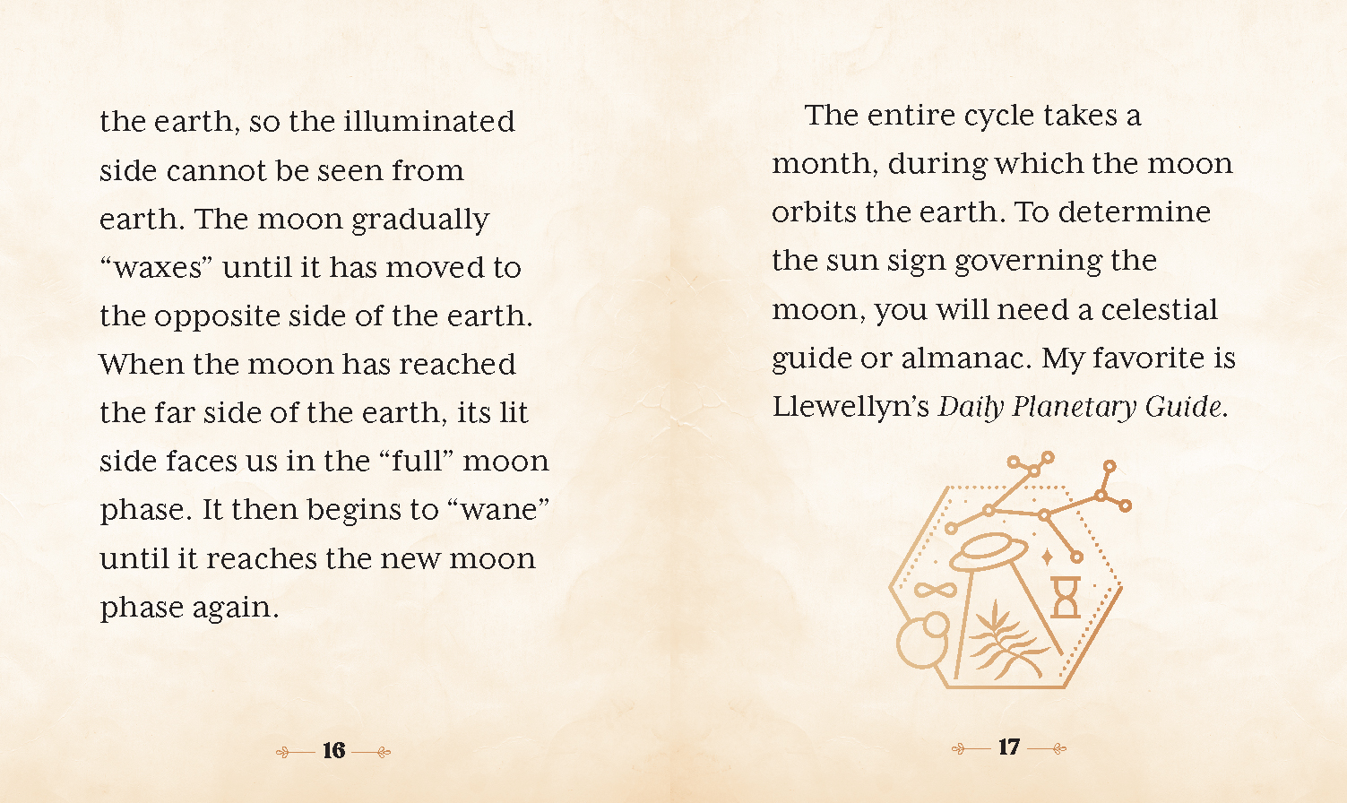 Witchcraft To Make Someone Fall In Love With You - The Witches' Wealth Spell Book by Cerridwen Greenleaf | Hachette Book Group Witchcraft To Make Someone Fall In Love With You - The Witches' Wealth Spell Book by Cerridwen Greenleaf | Hachette Book Group