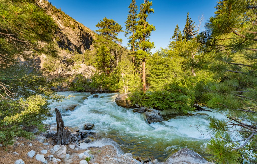 roaring rapids in Kings Canyon National Park