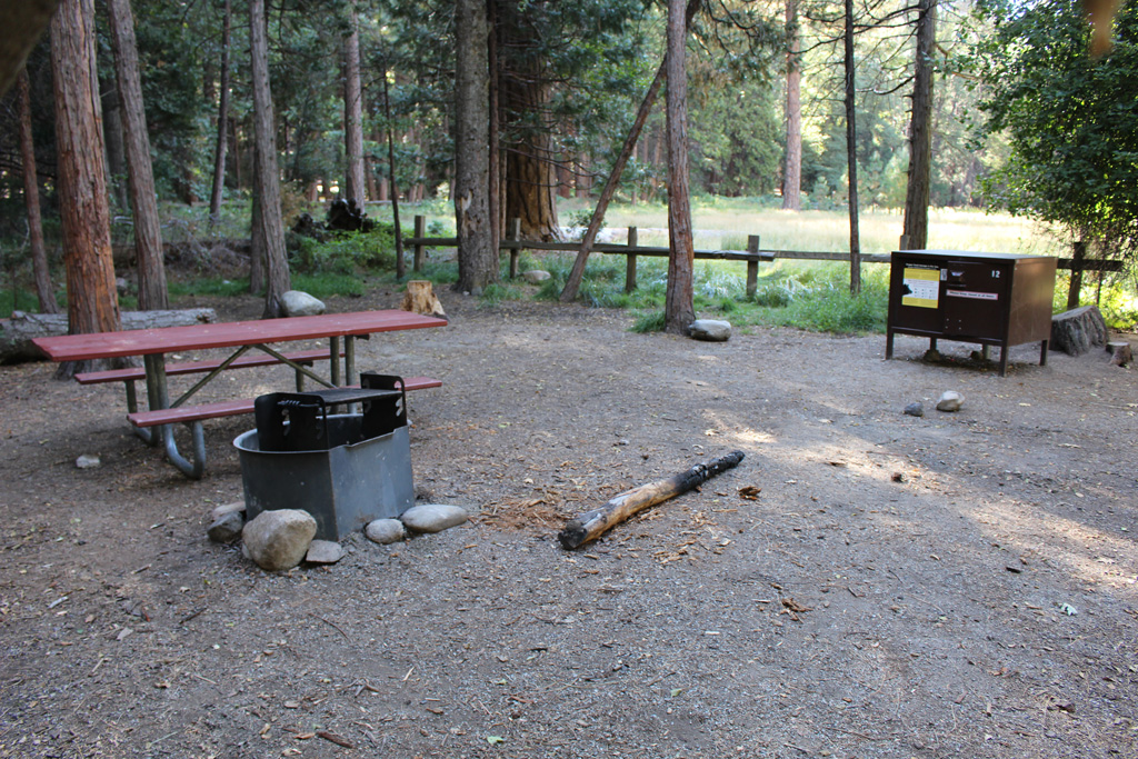 picnic table and fire pit in a wooded campsite on kings canyon