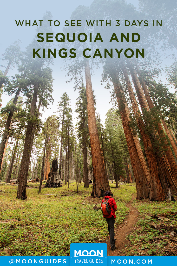 pinterest graphic for sequoia and kings canyon itinerary
