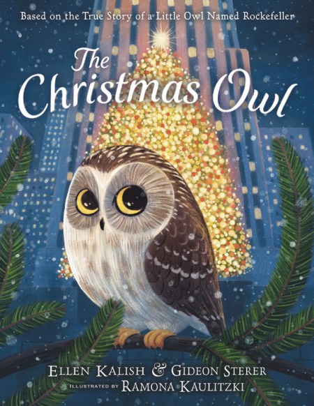 The Christmas Owl by Gideon Sterer | Hachette Book Group