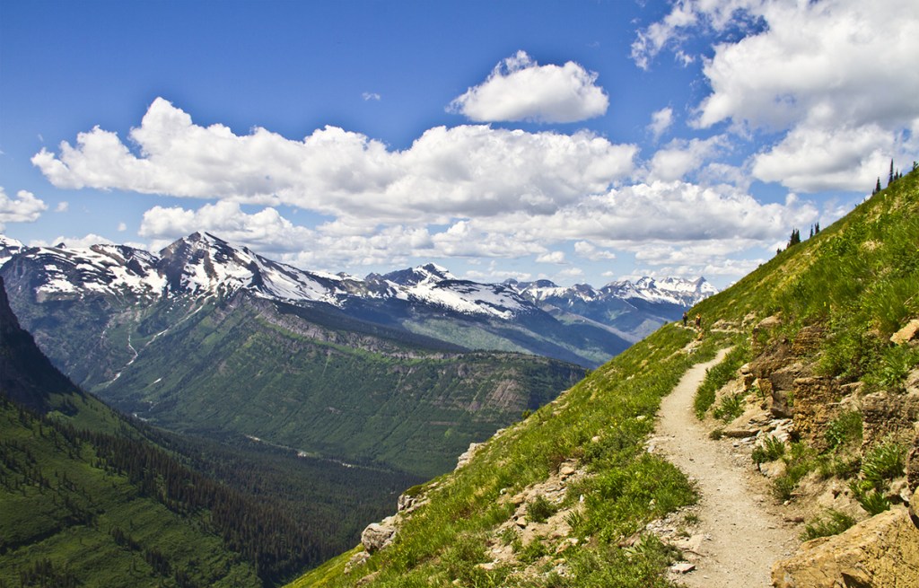 blue skies over a hiking trail on the side of a mountain in glacier national park