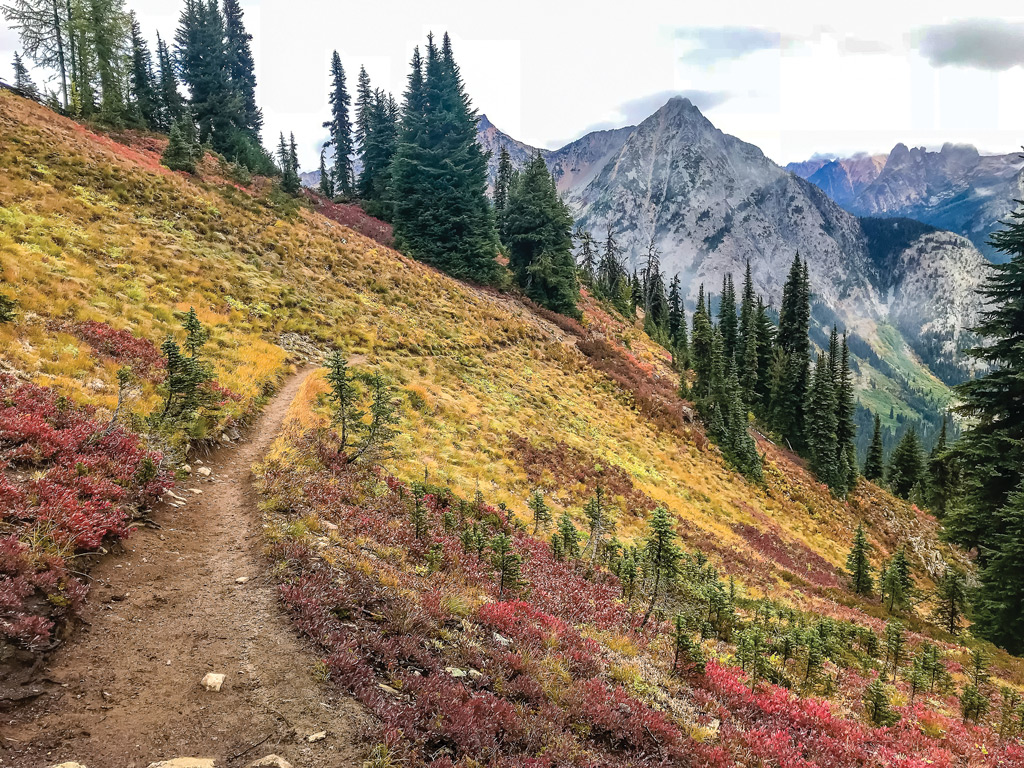 A trail that leads to mountains with fall foliage.