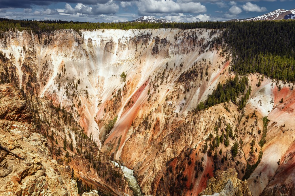 tree-covered earth with colorful striations at grand canyon of the yellowstone