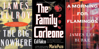 20 Compelling Crime Fiction_NovelSuspects