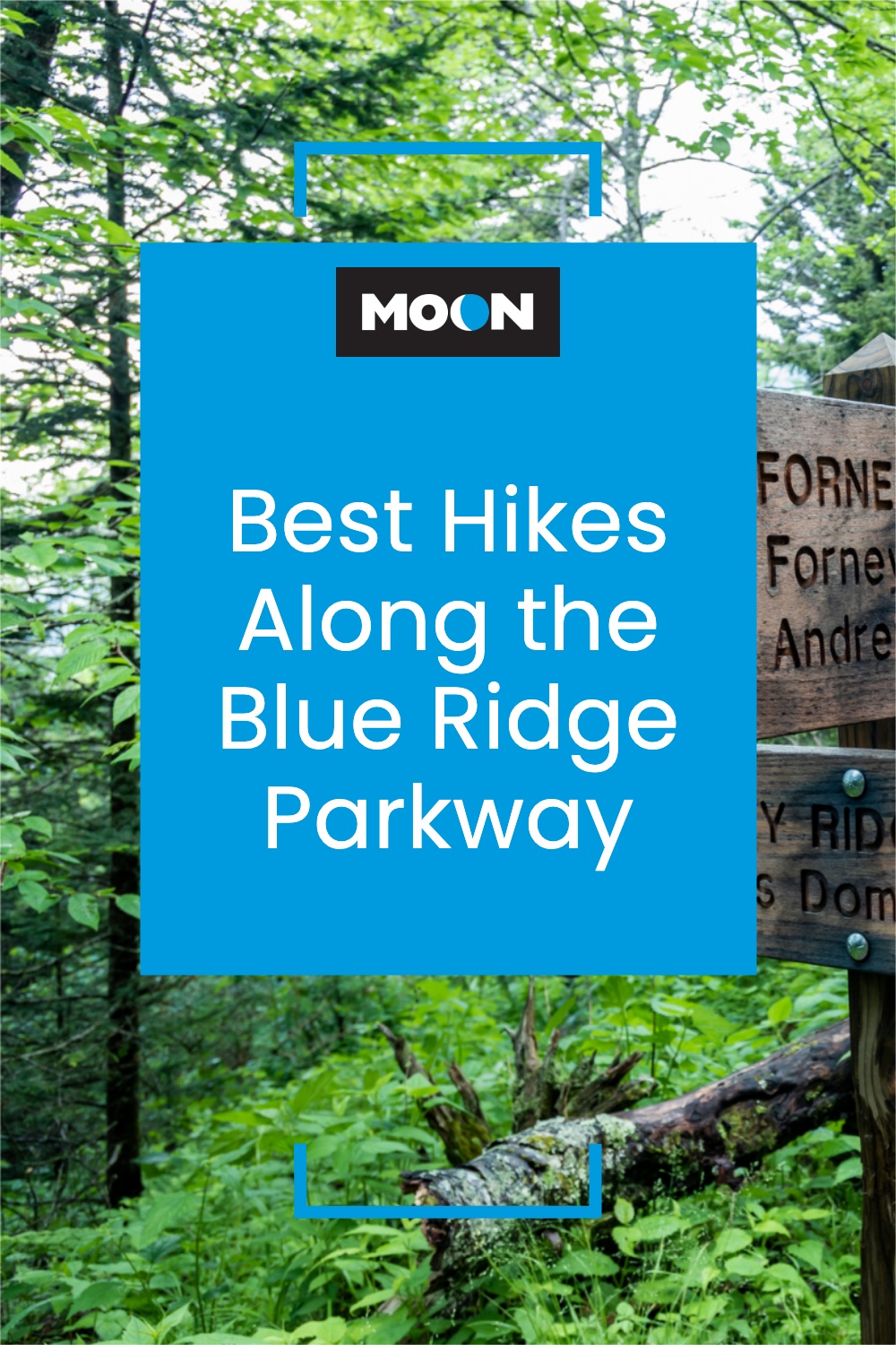 pinterest graphic with text reading best hikes along the blue ridge parkway