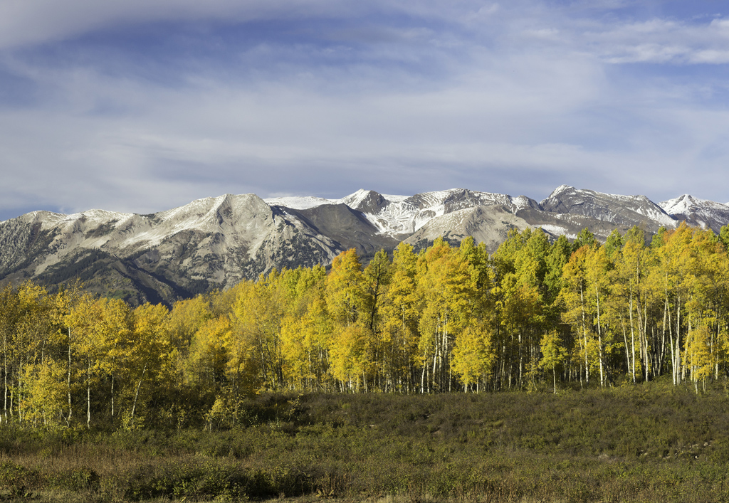 Golden aspen and high country snow of early autumn in ruby mountain.