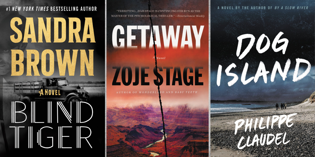 Mystery Thriller Books Coming This August