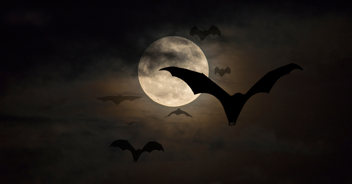 bats on a cloudy night against the moon