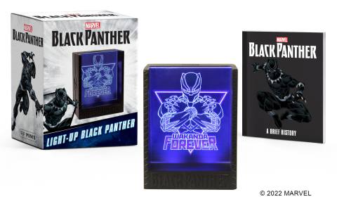 Marvel: Light-Up Black Panther