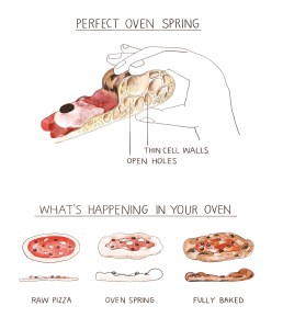 oven spring pizza