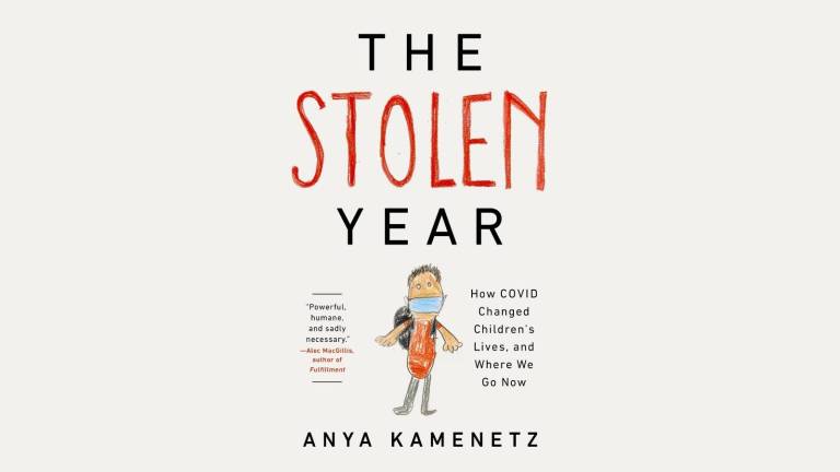 Skære af gardin kompliceret The Stolen Year by Anya Kamenetz | Hachette Book Group