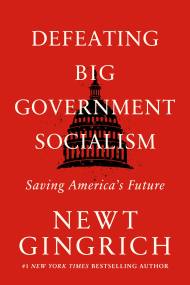 Defeating Big Government Socialism