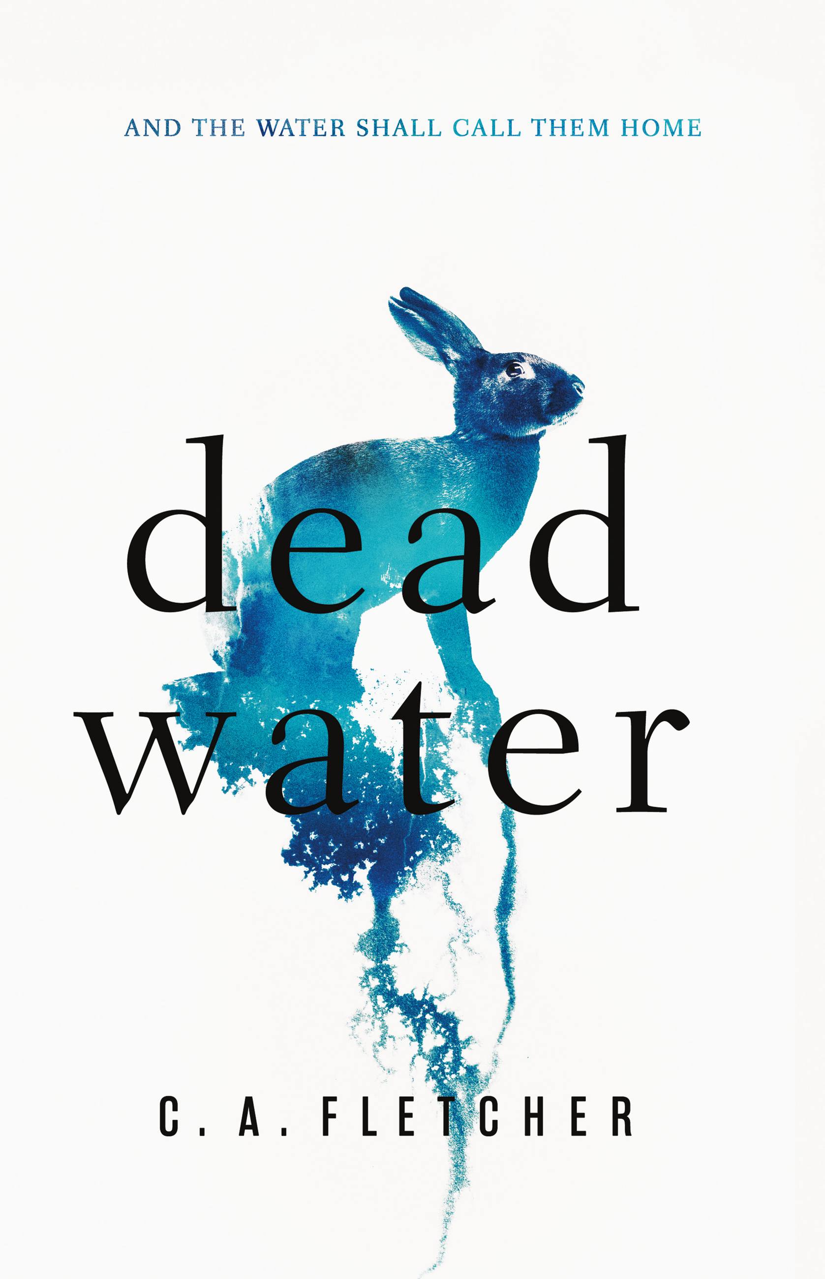 Dead　Book　Fletcher　Water　by　Hachette　C.　A.　Group