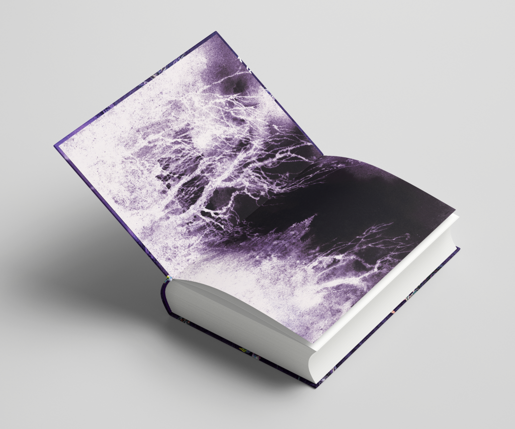 3d mockup of the front endpapers of the Barnes and Noble Special Edition of Belladonna