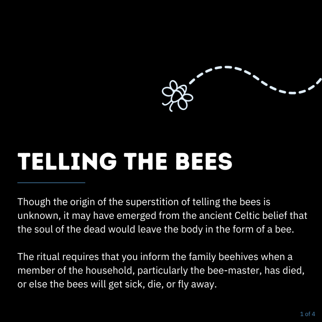 Infographic explaining the origin of the grief ritual of telling the bees
