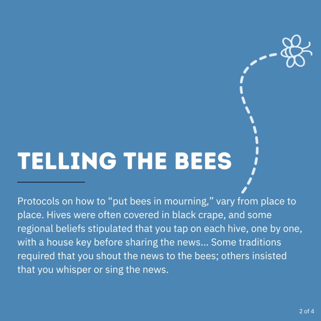 Infographic explaining the protocol of the grief tradition of telling the bees.