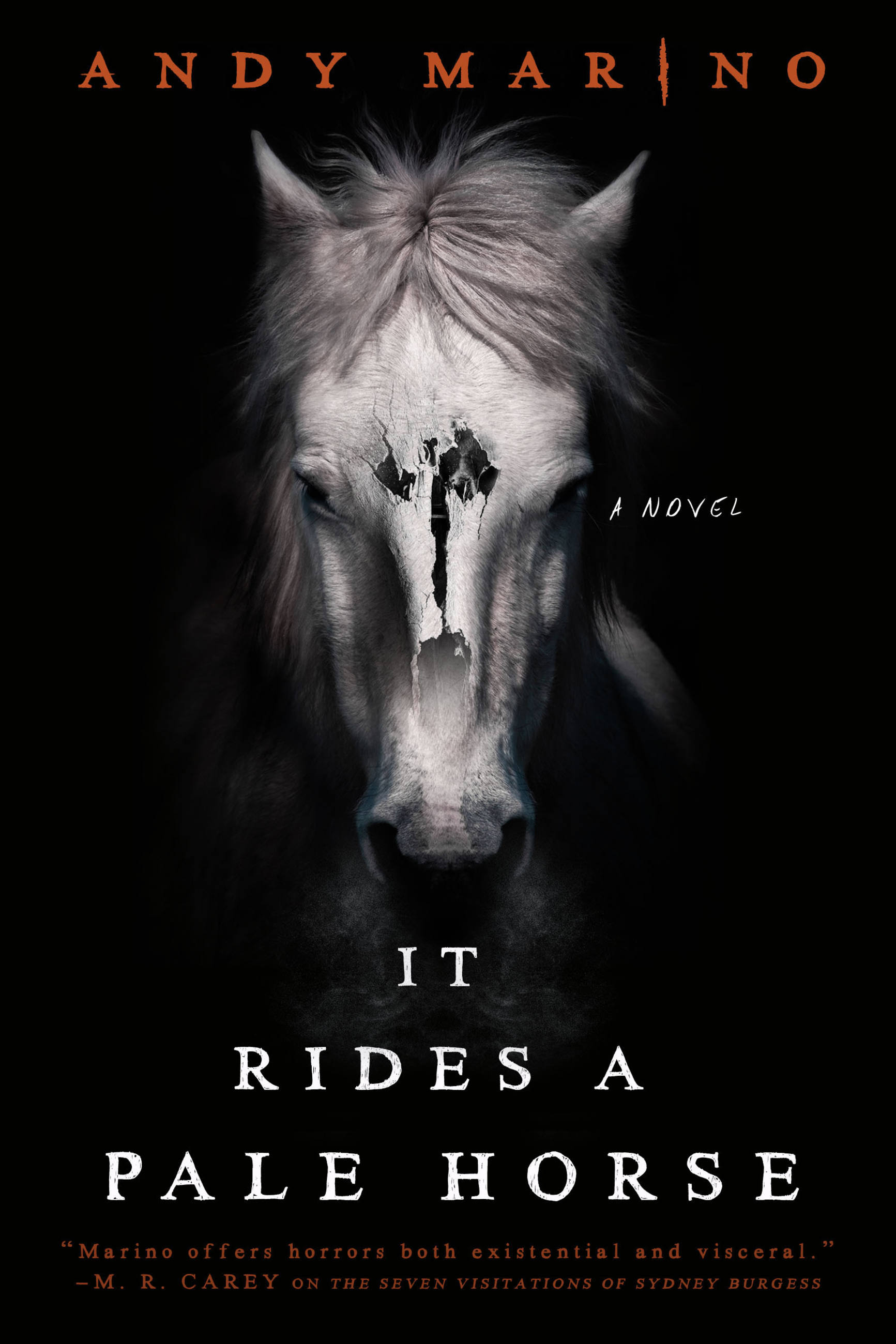 It Rides a Pale Horse by Andy Marino Hachette Book Group