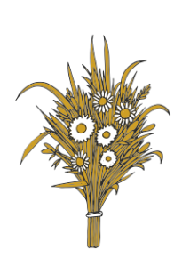 Illustration of a bouquet of wild flowers
