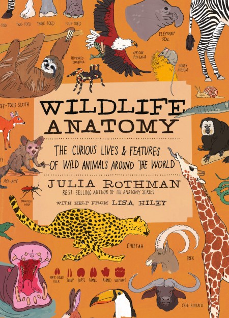 Wildlife Anatomy by Julia Rothman | Hachette Book Group