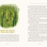 Interior spread from “Forest Magic” showing the start of the section titled “Finding and Creating Your Sacred Grove”