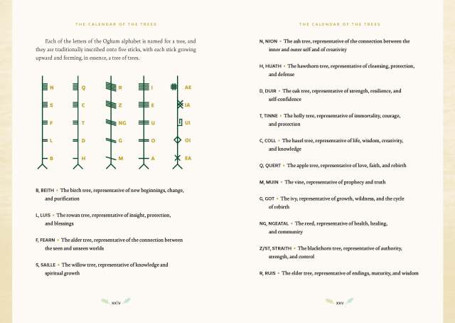 Interior spread from “Forest Magic” showing information about the Ogham alphabet