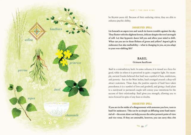 Interior spread from “Forest Magic” showing a suggested spell for working with aspen and information about basil