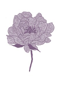 Cut-paper art of a large flower, rendered in purple. The flower is featured on the Heart Remedy cards of the Resilience Alchemy deck.