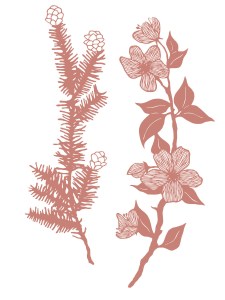 Cut-paper art of hemlock, rendered in a soft red. The art is featured in the Resilience Alchemy guidebook.