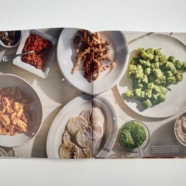 Image of book pages showing many plates of differently shaped and sauced pastas