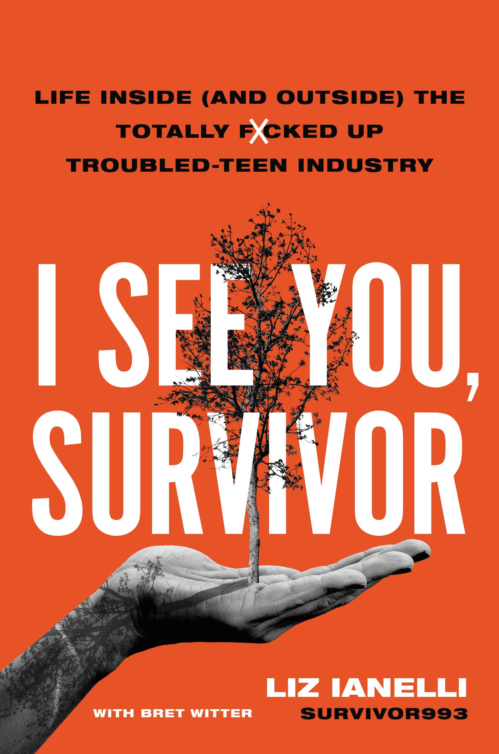 I See You, Survivor by Liz Ianelli Hachette Book Group image