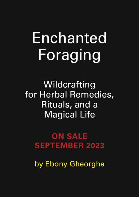 Enchanted Foraging